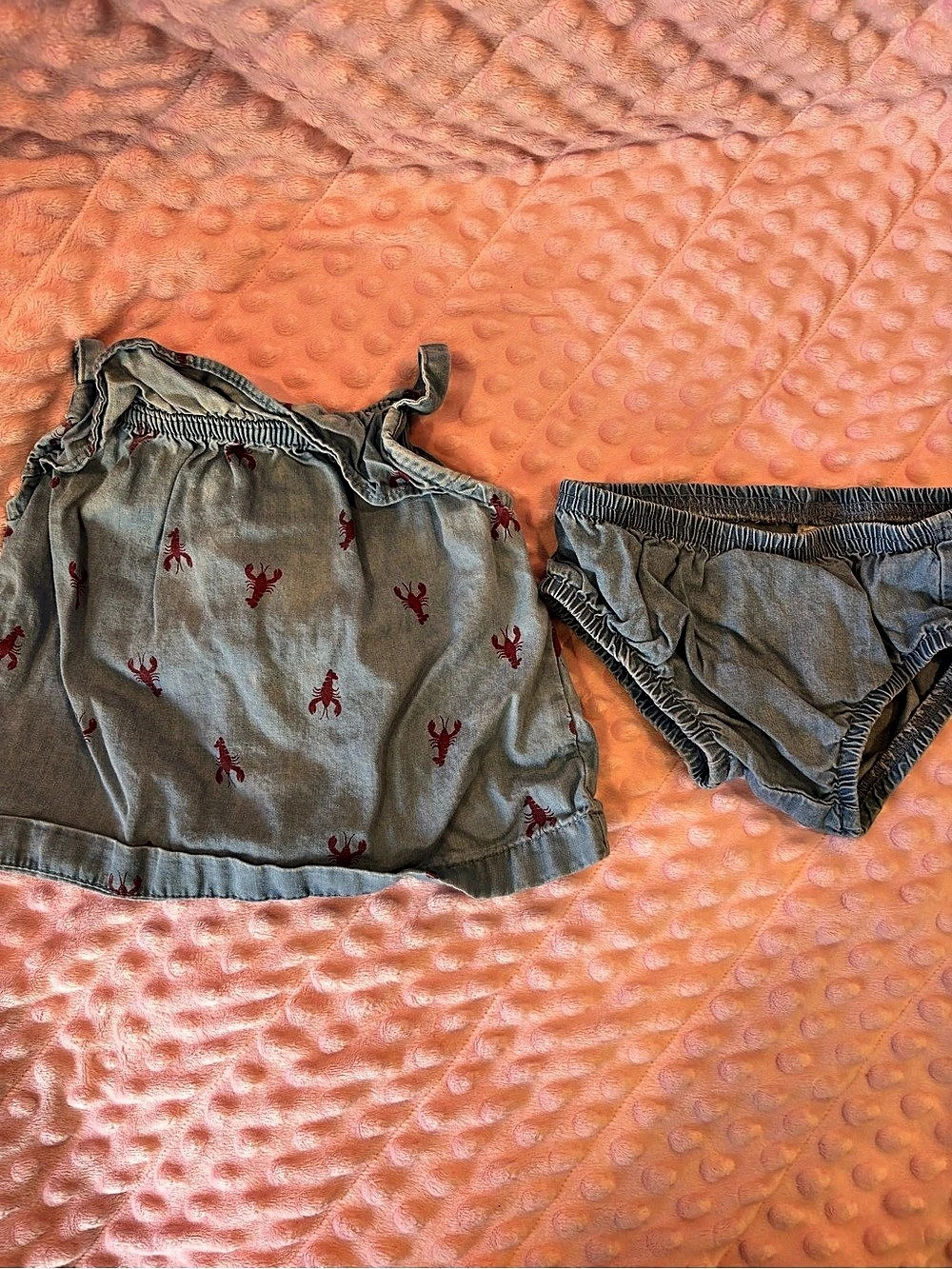 carter's Baby 3-6M Two-Piece Swim Set in Gray & Red